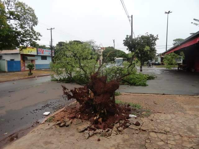 Temporal atingiu e causou estragos principalmente no centro-sul de MS