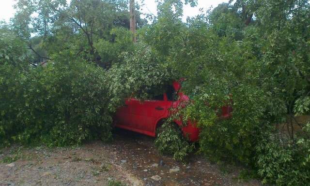  Temporal de 30 minutos derruba &aacute;rvores e destelha casas em Corumb&aacute;