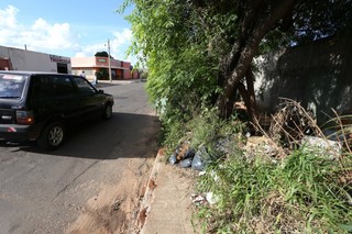O matagal também prejudica os pedestres do bairro (Foto: Marcelo Victor)