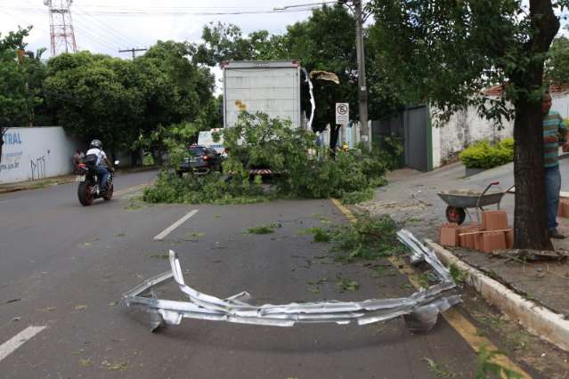 Galho de &aacute;rvore prende em caminh&atilde;o-ba&uacute;, derruba placa e causa estragos 