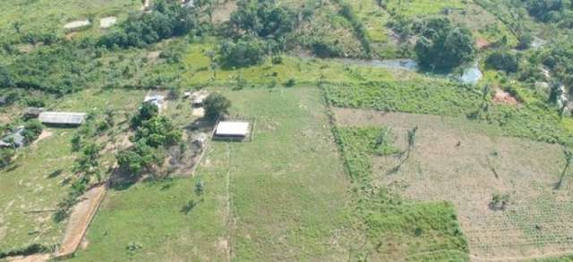 Implementa&ccedil;&atilde;o do C&oacute;digo Florestal ainda &eacute; desafio, dizem ONGs