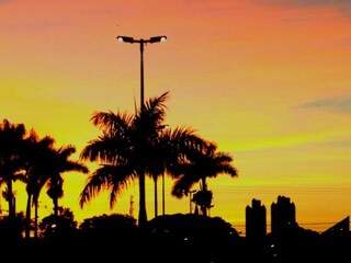 Árvores e prédios compõem cenário com o céu amanhecendo na Avenida Fernando Côrrea da Costa, em Campo Grande (Foto: Saul Schramm)