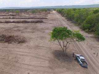 Policiais militares ambientais em fiscalização na fazenda de Coxim (Foto: Divulgação/ PMA)