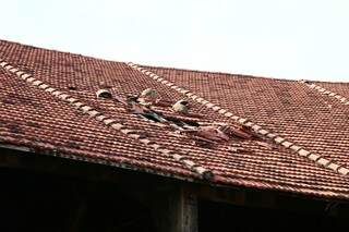 Local perdeu as telhas, o que causa umidade (Foto: Marcos Ermínio)