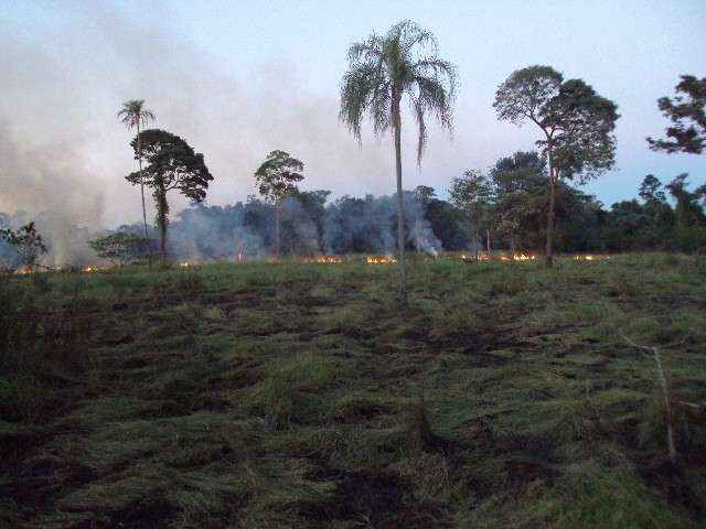 Pecuarista &eacute; multado em R$ 2 mil por inc&ecirc;ndio ilegal para renovar pasto