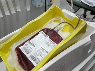 Bolsa de sangue após doação no Hemosul. (Foto: Mirian Machado/Arquivo).