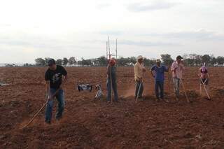 Trabalhadores sem-terra querem prazo para colher lavoura plantada em área ocupada (Foto: Divulgação/MST)