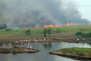 Com estiagem de agosto e setembro, focos de inc&ecirc;ndio aumentam 191%
