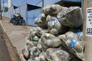 Pilha de sacos com restos de cocos em frente a um quiosque ao lado da Câmara (Foto: Gerson Walber)