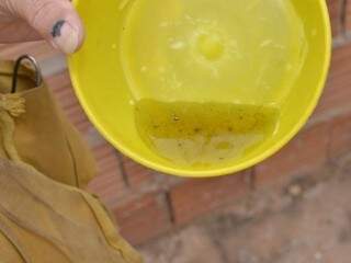 Agente de saúde encontra água parada com ovos do mosquito transmissor da dengue (Foto: PMCG/Divulgação)