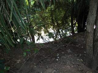 Mata ciliar destruída nas margens do rio Aquidauana. (Foto: Divulgação/ PMA)