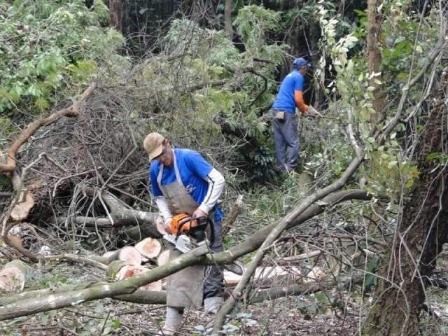 Projetos que tratam da preserva&ccedil;&atilde;o do Parque dos Poderes geram impasse