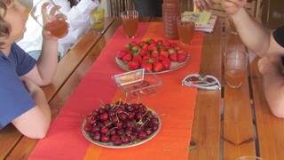 Frutas que vão à mesa são colhidas direto da horta. (Foto: Arquivo Pessoal)