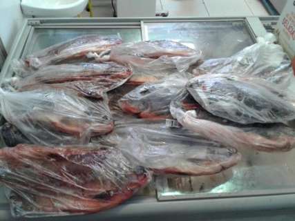 Em fiscalização, Procon encontra peixe e carnes vencidos em dois supermercados