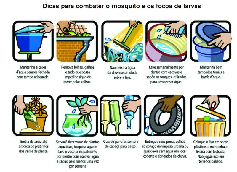 Presente de Grego”: uma dinâmica para combate do mosquito da