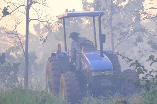 Inc&ecirc;ndio atinge seis hectares de &aacute;rea verde pr&oacute;ximo &agrave; UCDB