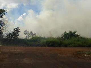 Fumaça alta em terreno onde entulho foi queimado nesta segunda-feira (Foto: Direto das Ruas)
