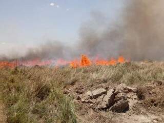 Vegetação sendo devastada pelo fogo na região pantaneira. (Foto: Operação Pantanal ll)