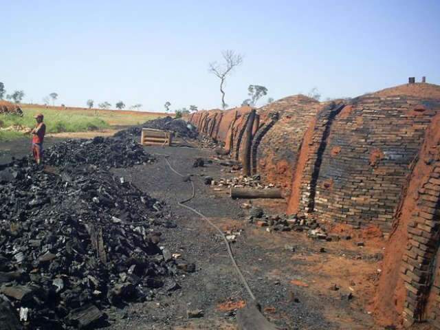  Com m&atilde;o de obra escassa, carvoarias planejam contrata&ccedil;&atilde;o de 5 mil funcion&aacute;rios