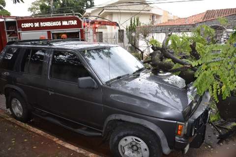 Galhos de árvore caem sobre camionete estacionada na rua 15 de Novembro