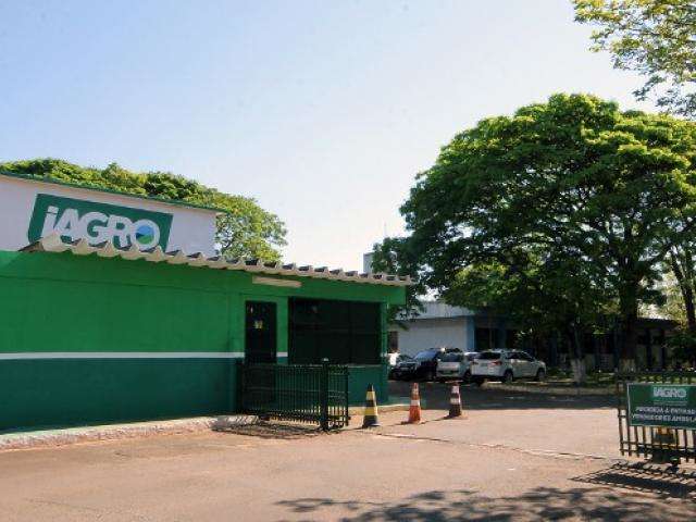 Iagro confirma investiga&ccedil;&atilde;o sobre caso de mormo na zona rural da Capital