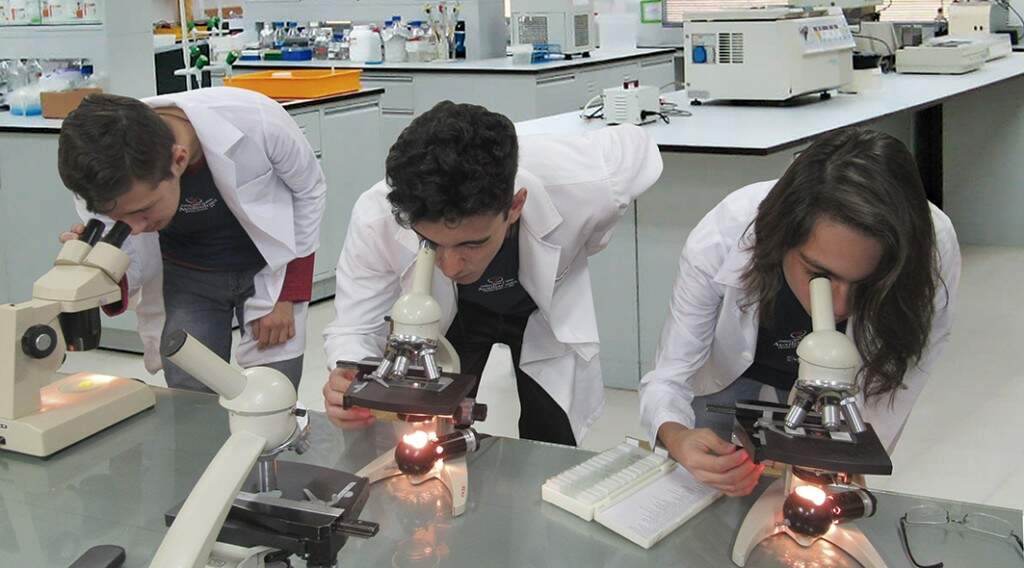 Aulas no Laboratório de Informática VESPERTINO: Aula Figuras Geométricas