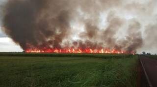 Causa mais frequente de incêndios é causado por pessoas. (Foto: Divulgação)