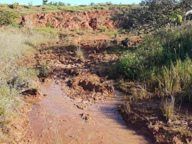 Pecuarista &eacute; multado em R$ 60 mil por manter gado em &aacute;rea de protegida