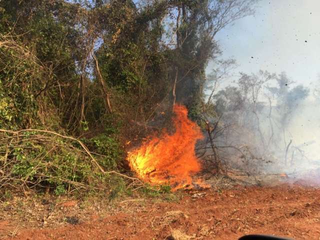 Fazendeiro &eacute; multado em R$ 90 mil ap&oacute;s incendiar reserva ambiental