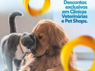 Fidelidade El Kadri lembra até do seu pet e oferece tabela diferenciada em clínicas veterinárias (Foto: Divulgação)