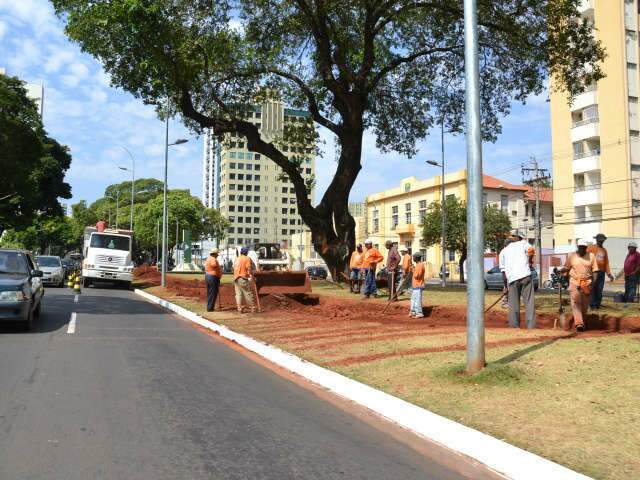  Ordem de servi&ccedil;o prev&ecirc; R$ 147 mil para ciclovia na Afonso Pena