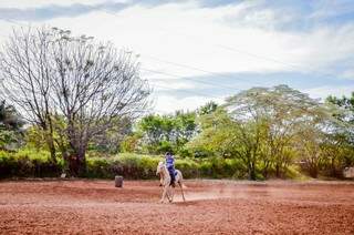 Propriedade de meio hectare localizada na avenida Tamandaré, ensina montaria, aloja cavalos e cria galinhas. (Foto: Vanessa Tamires)