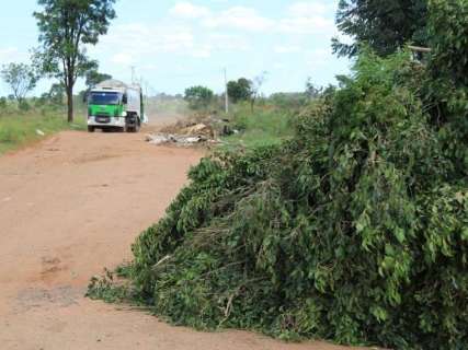 Com restos de árvore, moradores bloqueiam estrada de acesso ao lixão