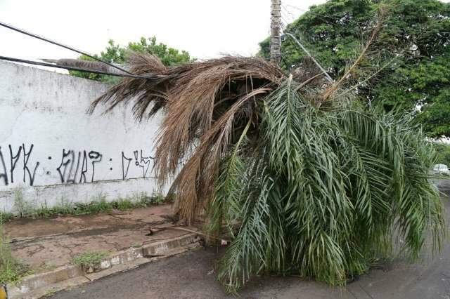 Ap&oacute;s temporal, bombeiros atendem 35 ocorr&ecirc;ncias na manh&atilde; de domingo