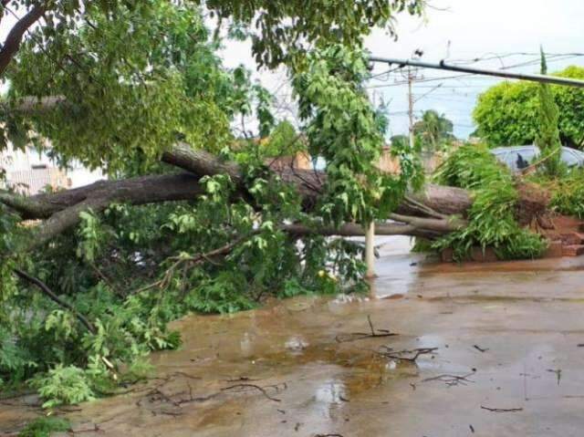 Concession&aacute;ria triplicou n&uacute;mero de equipes nas ruas durante a chuva
