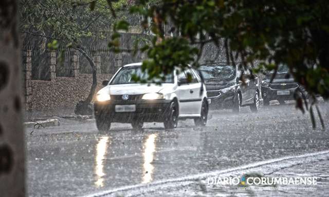 Chuva e vendaval provocam queda de &aacute;rvores em dois bairros