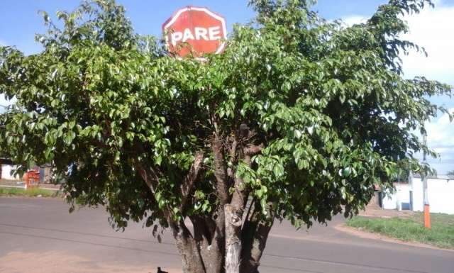 Moradores &quot;penduram&quot; placa de PARE em &aacute;rvore pois n&atilde;o enxergam sinaliza&ccedil;&atilde;o