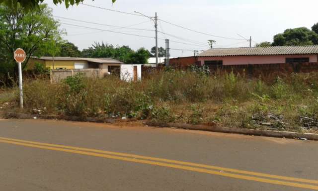 Moradores denunciam lixo e animais em decomposi&ccedil;&atilde;o em terreno baldio