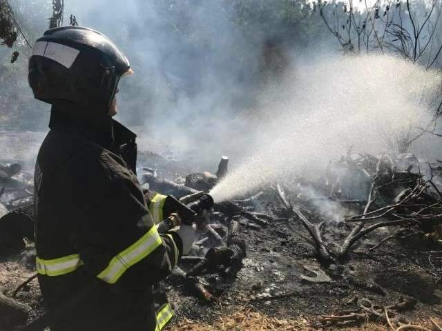 Em 12 horas, bombeiros registram 17 inc&ecirc;ndios em vegeta&ccedil;&atilde;o na Capital