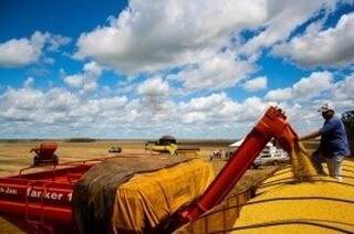 Chapadão do Sul terá a primeira indústria de fracionamento de grãos do Brasil. (Foto: Marcos Ermínio)