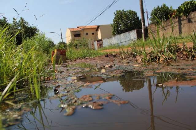 Infesta&ccedil;&atilde;o alta amea&ccedil;a 26 bairros com dengue e febre chikungunya
