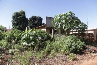 Terrenos com mato alto, cobrindo casas e obras é comum no bairro. (Foto:Fernando Antunes)