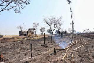 Incêndio se espalhou do acostamento para propriedade rural. (Foto: Henrique Kawaminami)