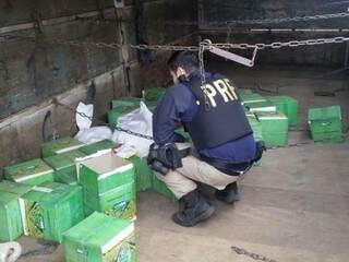 Agrotóxicos ilegais estavam em caixas de fertilizantes para enganar a fiscalização (Foto: Divulgação/PRF)