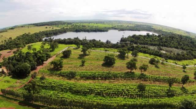 MS inova com ICMS Ecol&oacute;gico em decreto sobre reserva ambiental, diz Ong 