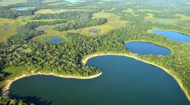 Quarta-feira amanhece fria, garoando e instituto alerta para chuva forte -  Meio Ambiente - Campo Grande News