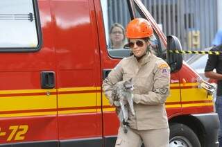 Bombeiro segura gatinho salvo no local do incêndio (Foto: Alcides Neto)