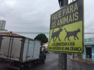 Placa foi instalada há dois meses na esquina das ruas Bahia com a São Paulo (Foto: Bruna Kaspary)