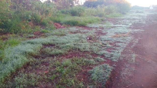Cidade registra segunda menor temperatura do ano, 5,9 graus