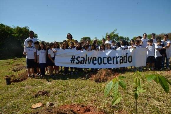 WWF Brasil alerta sobre desmatamento no Dia Nacional do Cerrado